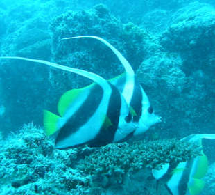 Gemeinsam gehts immer besser