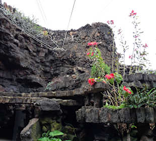  Jameos del Agua Cesar Manrique