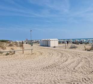 Spuren der Traktoren 