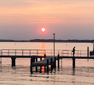 Schlei
