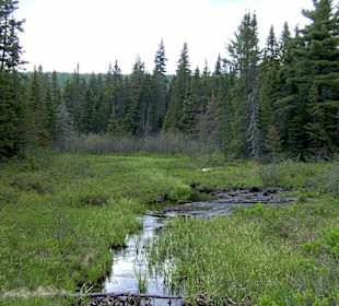 Algonquin Provincial Park.