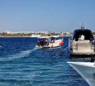 Tauchbasis Cleopatra Makadi Bay Diving