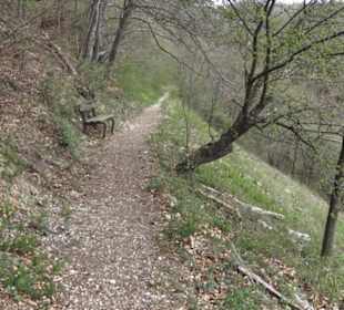 Burgruine Hohenhundersingen