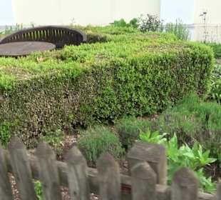 Kräutergarten Heiligenbronn