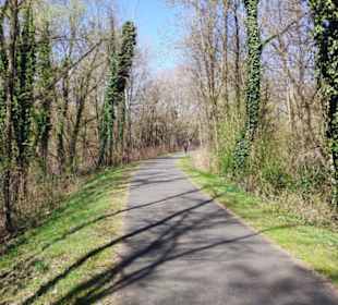 Murradweg