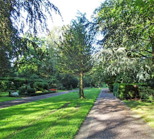 Rundgang über den Mühlenfriedhof