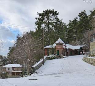 Ausflug in das Toodos Gebirge