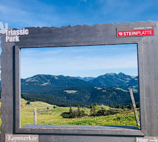 Aussichtsplattform/Steinplatte