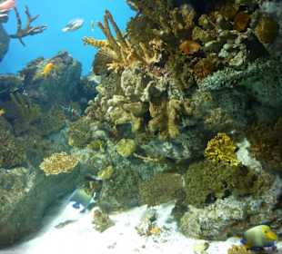 Unterschiedliche Gesteinsformationen