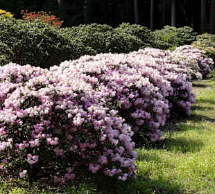 Impressionen vom Rundweg durch den Park