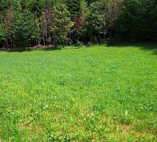 Wanderung zum Bärenfels