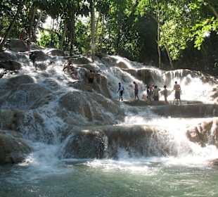 Die Hälfte ist geschafft