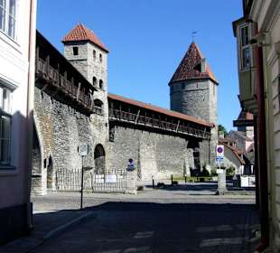 Alte Stadtmauer
