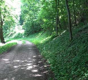 Premiumwanderweg "hochgelegen"