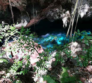 Ausflug zum National Park Los Tres Ojos mit Andy