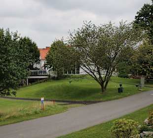 Von Bäumen begrenzt