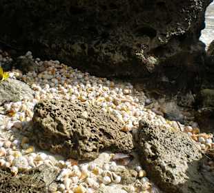 Auf der Bacadi insel 