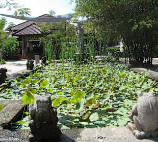 В зоопарке Бали