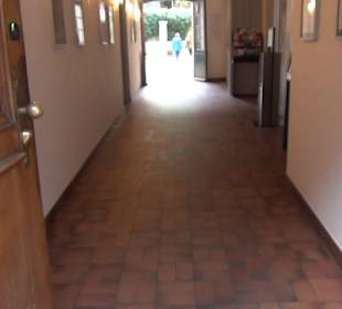 Pharmazie-Historisches Museum