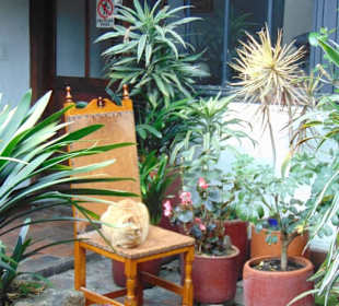 Café de la Peña Pasteleria Francesa