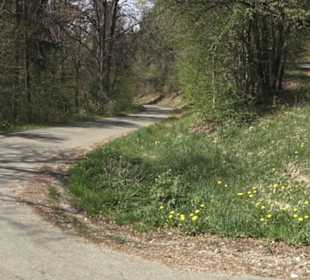 Waldlehrpfad an der Lauter