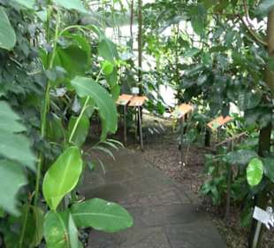 Tropicarium