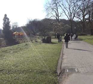 Botanischer Garten - Rombergpark