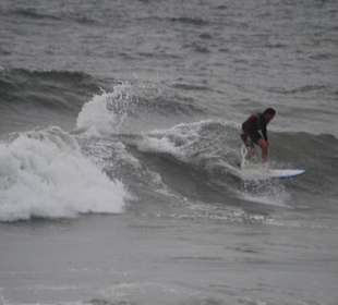 Surfer