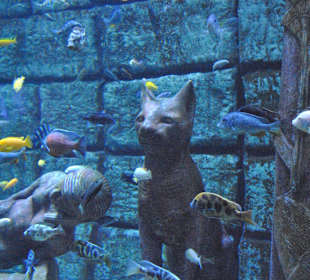 Ägyptisches Aquarium