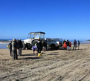 Es ist nicht einfach ins Wasser zu kommen