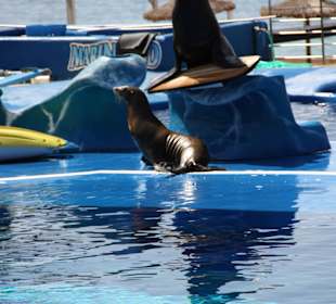 Marineland Mallorca