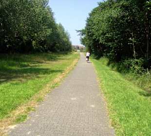 Kleines Wäldchen auf der Insel