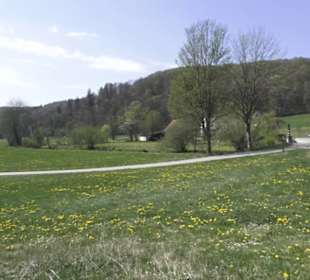 Waldlehrpfad an der Lauter