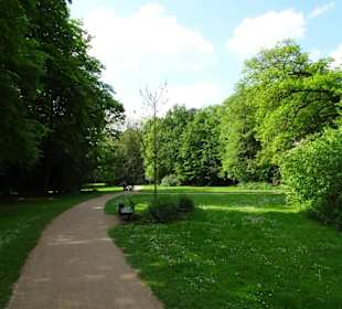 Frühlingsspaziergang durch das Eversten Holz
