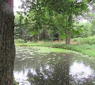 Kurpark Bad Brambach