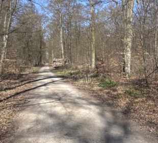 Geschichtlicher Lehrpfad Einsiedel