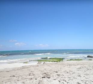 Strand von Can Picafort 