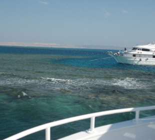 Schöne Schnorchel-/Delphintour trotz unruhiger See