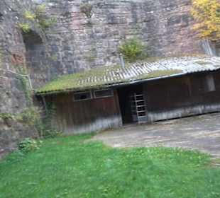 Burgruine Hohenschramberg