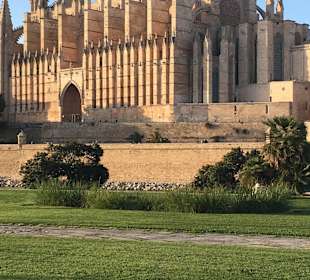 Parc de la Mar mit Kathedrale