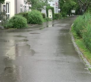 Wandern rund um den Stadtsee