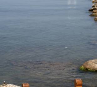 ....paradisisch....