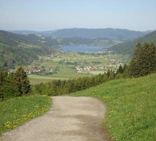 Bühler Alpsee