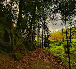 Wandern Schönberg