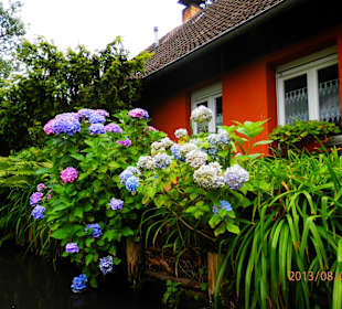 Auf der Kahnfahrt durch den Spreewald