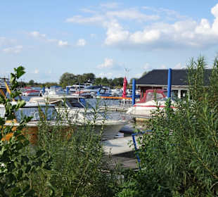 Eindrücke von der Marina Wieltsee