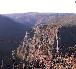 Berg