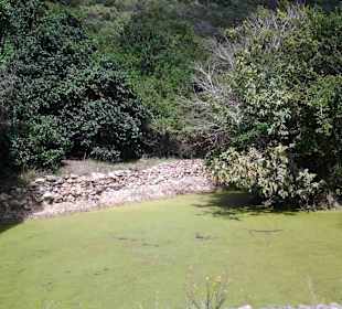 Aussichtspunkt Knysna