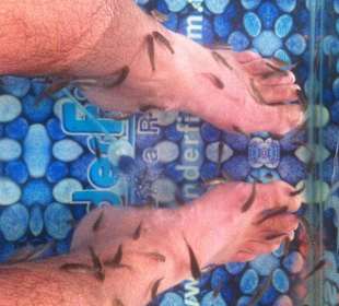 Schade dass die Fische nicht mehr hier sind.