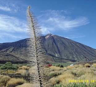 Teide